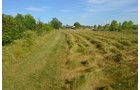 Property photo 14 - REAL ESTATE AUCTION - 26+/- ACRES IN 3 TRACTS IN SOUTHWEST ALLEN COUNTY, INDIANA
